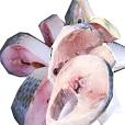 Frozen Hilsa Steaks / Slice 5-6 pcs 1Kg - Only Berlin Same Day Delivery