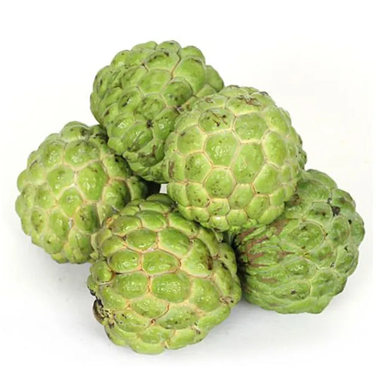 Fresh Custard Apple (Sitafal) 500-700gm - Spice Village