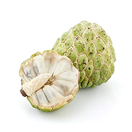 Fresh Custard Apple (Sitafal) 500-700gm - Spice Village
