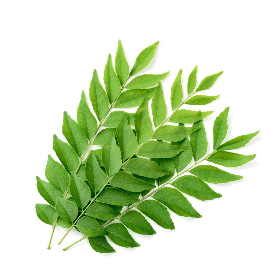 Fresh Curry Leaves 120gm