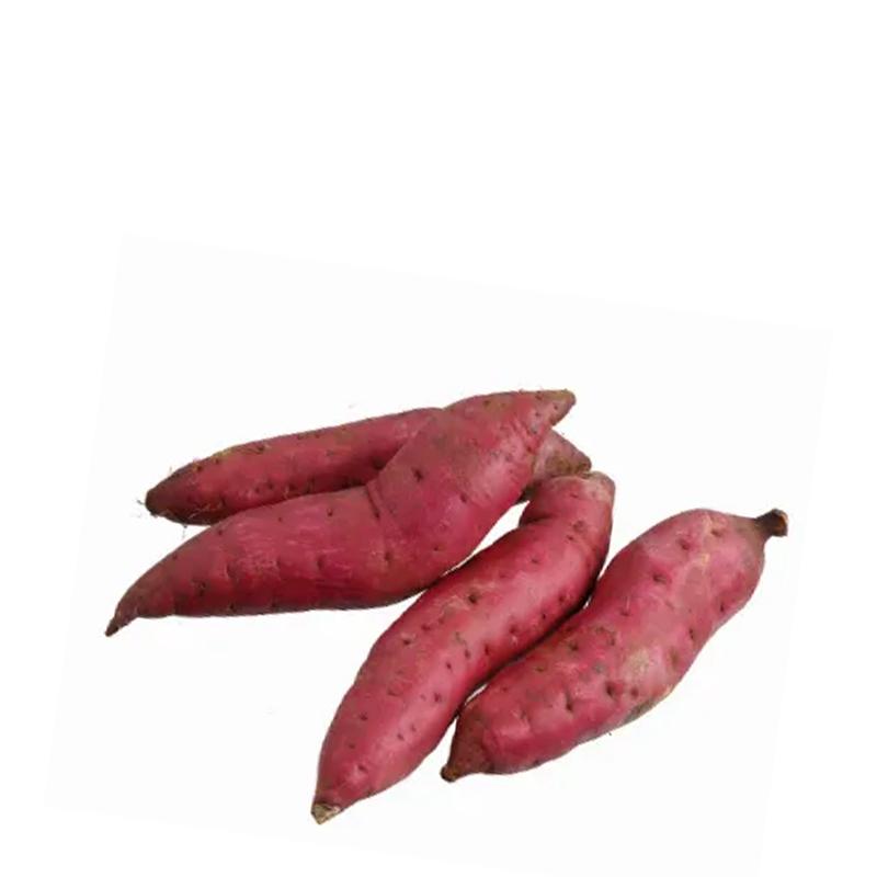 Fresh Sweet Potato 700gm-900gm