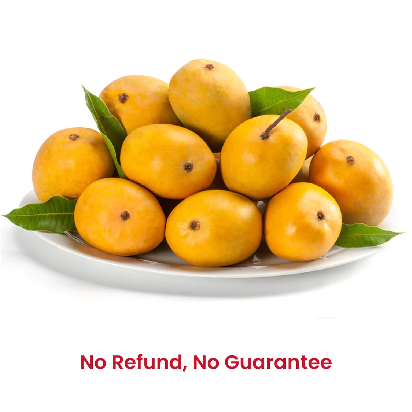 Fresh Alphonso Mangoes 1.3kgs (4-6 pcs) - Spice Village