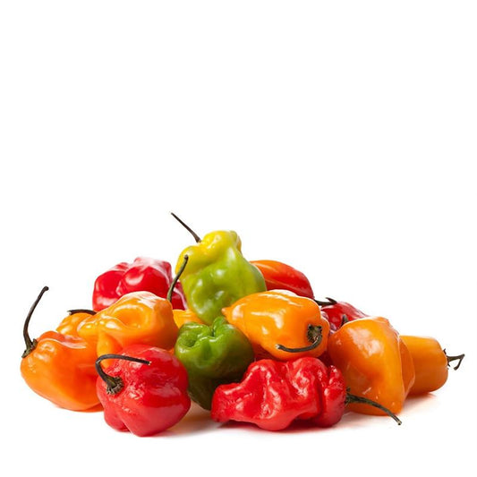 Fresh Habenero Chilli 150gm - Spice Village