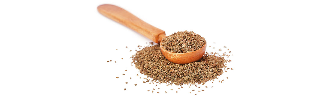 Get to Know Your Indian Spices: Carom Seeds or Ajwain