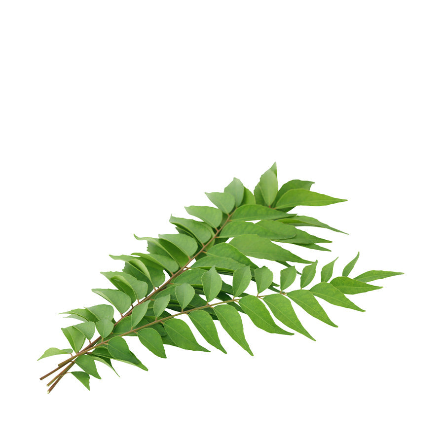 Fresh curry leaves and storage tips for Germany