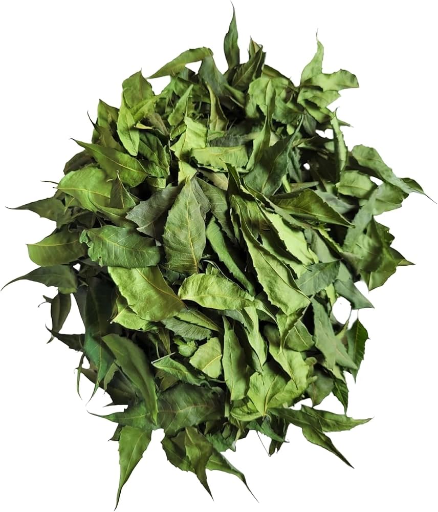 Fresh Neem Leaves 50gm - Only Berlin Same Day Delivery
