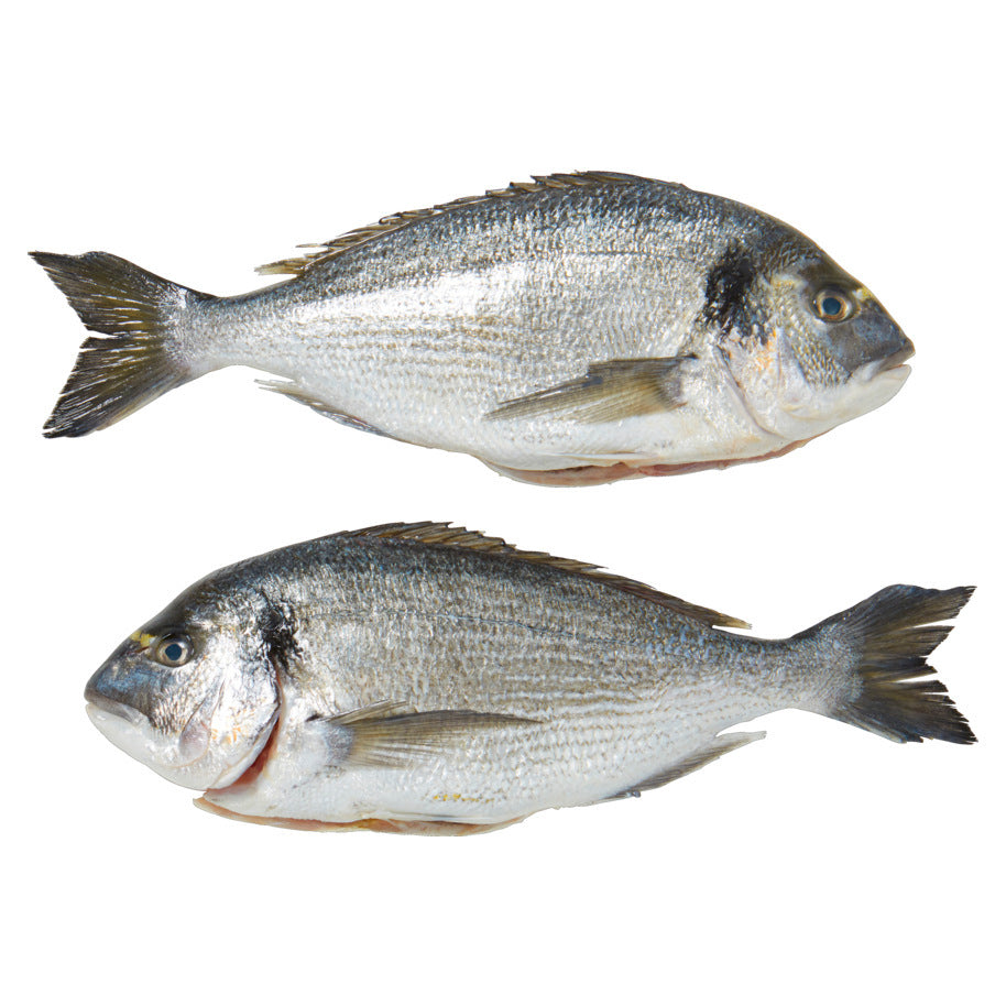 Frozen Meerbrasse (Dorade) 400-600 gm - Only Berlin Same Day Delivery - Spice Village