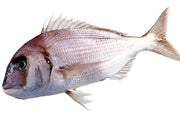 Frozen Asian Choice Sackbrasse (Red porgy) G&S IWP 500/800 (900-1100gm)  - Only Berlin Same Day Delivery - Spice Village