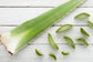 Fresh Aloe Vera leaves 1Stk (450-500gm) - Spice Village