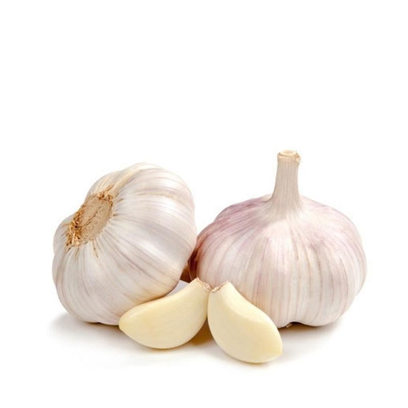 Fresh Garlic 500 gm - Spice Village