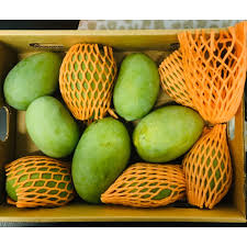 Fresh Langdo Mangoes (6 pcs)  - No refund or guarantee - Spice Village