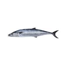 Frozen Asian Choice  Kingfish W/R 800+gm (1stk) - Only Berlin Same Day Delivery