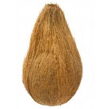 Fresh Puja Coconut (with Tail)