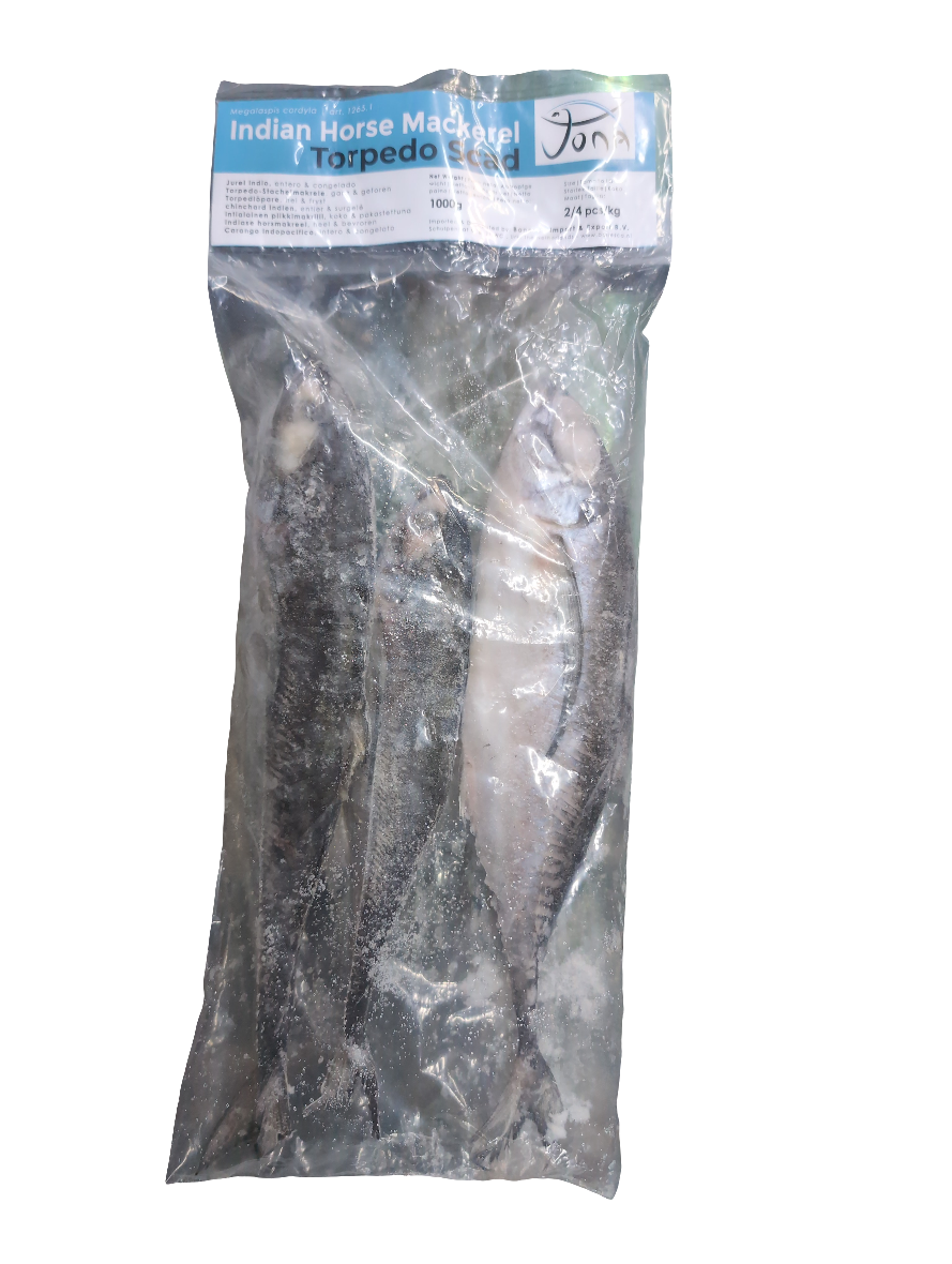 Frozen Jona Torpedo Scad Indian Horse Mackerel Fish 1kg - Only Berlin Same Day Delivery - Spice Village