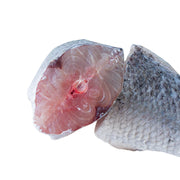 Frozen Seafood Barccacuda Steak 650gm - Only Berlin Same Day Delivery - Spice Village