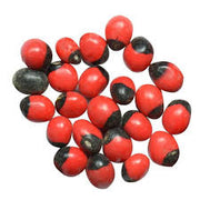 Natural Rakt Gunja, Chirmi, Lal Gunja Beej (Seeds) For Pooja  11 pcs - Spice Village