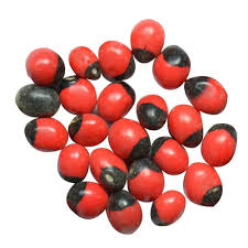 Natural Rakt Gunja, Chirmi, Lal Gunja Beej (Seeds) For Pooja  11 pcs - Spice Village