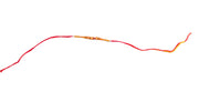 Rakhi - Red Thread 1pc - Spice Village
