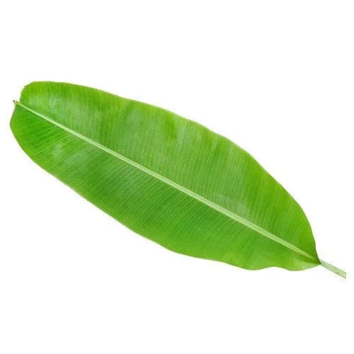 Fresh Banana Leaves 1stk - Only Berlin same day delivery - Spice Village