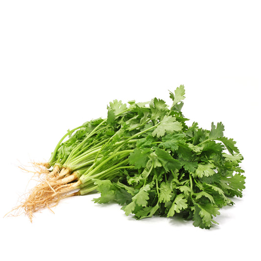 Fresh Coriander Leaves 100gm - Only Berlin Same Day Delivery