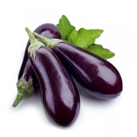 Fresh Long Aubergine (Lila) 300gm-500gm