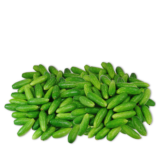 Fresh Tindi 1kg