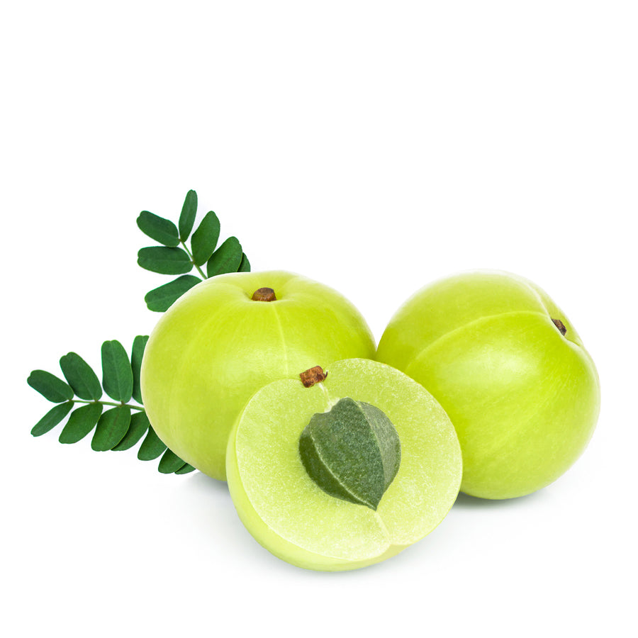Fresh Amla 250gm - Only Berlin Same Day Delivery
