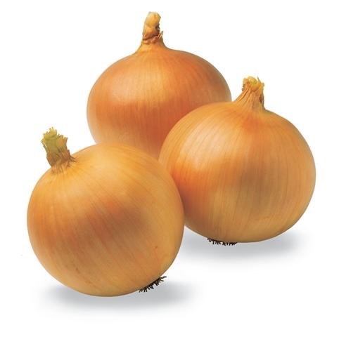 Fresh Big Onions 1kg - Spice Village