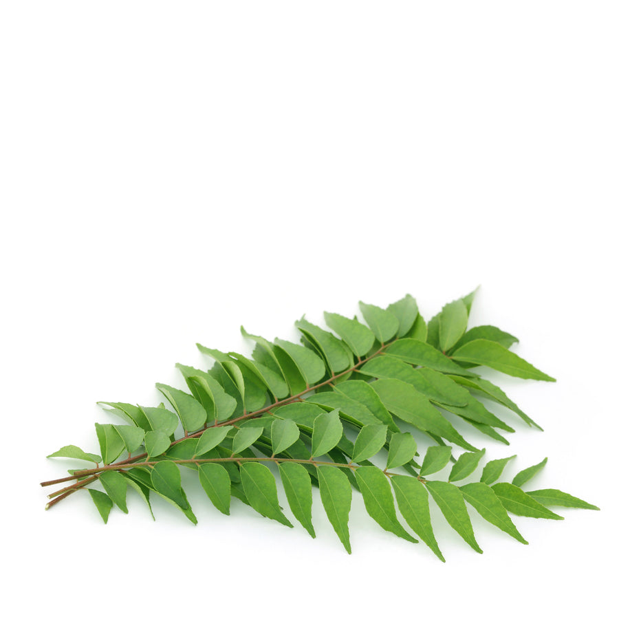 Fresh Curry Leaves 40-50gm