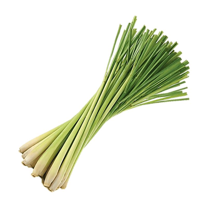 Fresh Lemongrass 200gm - Spice Village