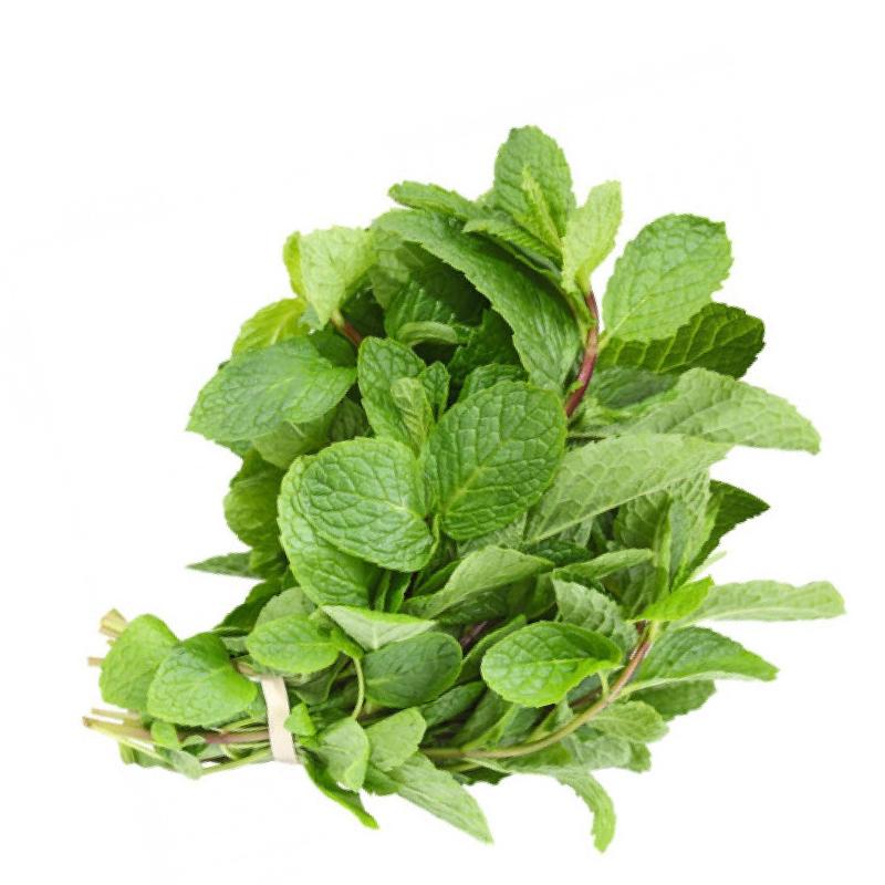 Fresh Mint (Pudina) Leaves 100gm - Only Berlin Same Day Delivery - Spice Village