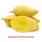 Fresh Honey Mangoes (4 pcs) - No Refund, No Guarantee