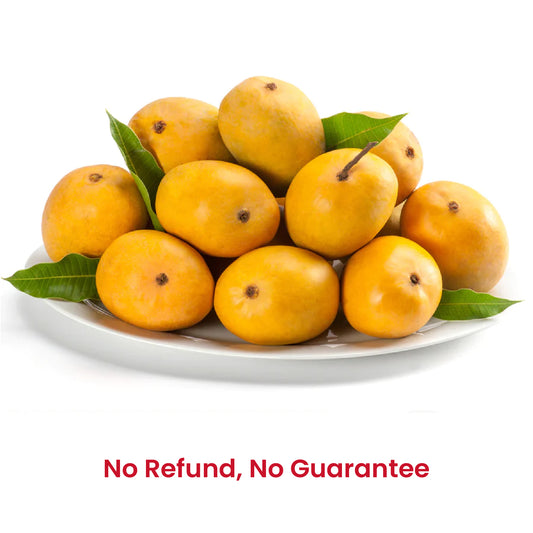 Fresh Alphonso Mangoes 1.3kgs (4-6 pcs) - No refund or guarantee
