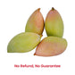 Fresh Indian Totapuri Mangoes 300-400gm