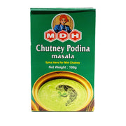 MDH Chutney Pudina 100gm - Spice Village