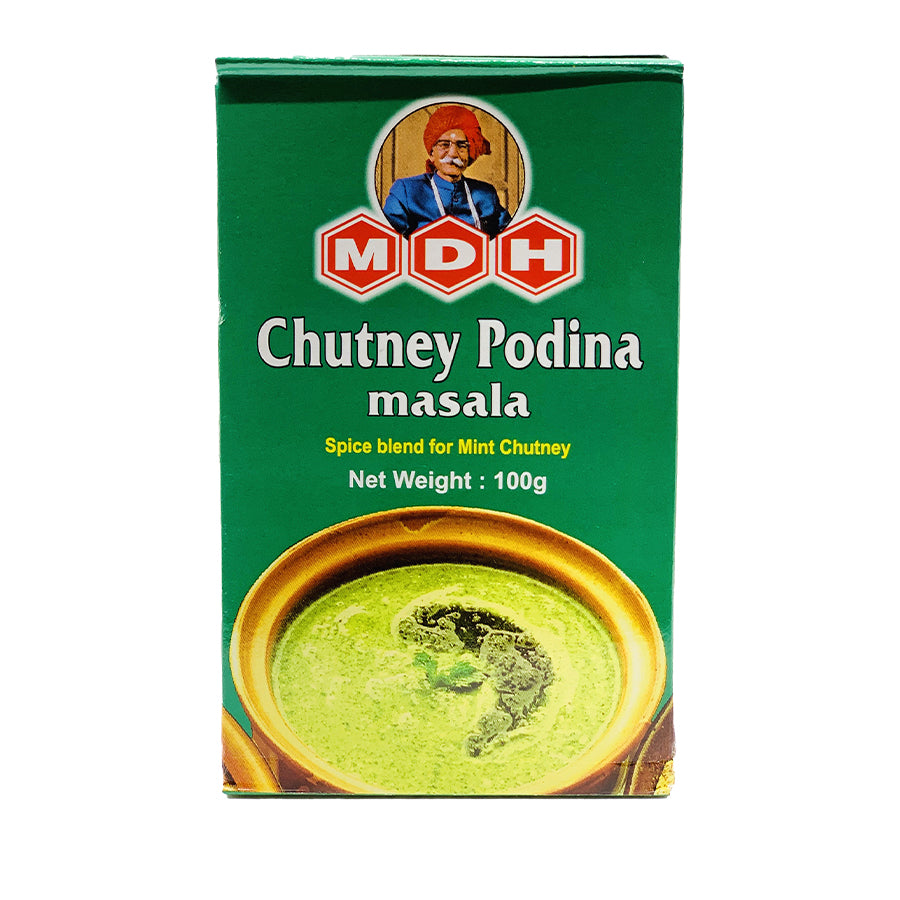 MDH Chutney Pudina 100gm - Spice Village