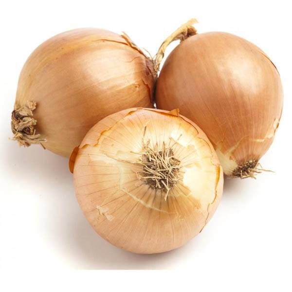 Fresh Big Onions 1kg