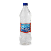 Gangajal 250ml - Spice Village