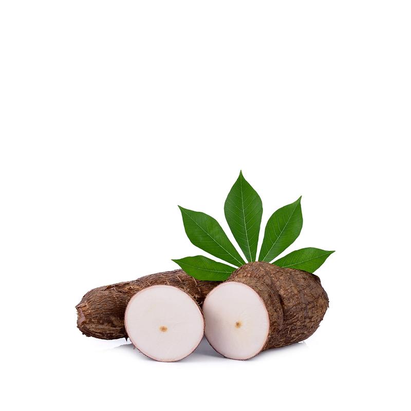 Fresh Manioc (Cassava) 700gm-900gm - Spice Village