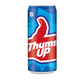 Thums Up Can (Indian) 300ml